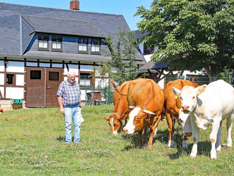 Pension Jakob 2